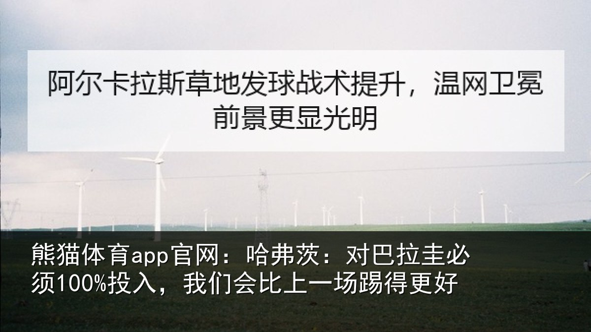 熊猫体育app官网:哈弗相关情况入我相关情况更好