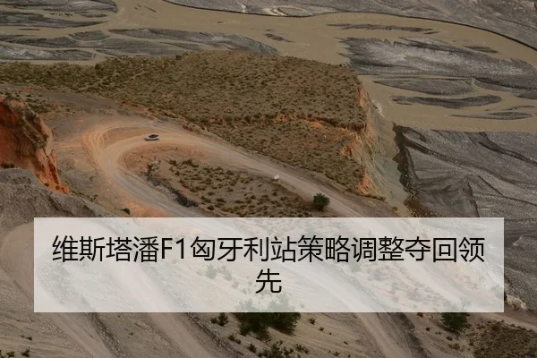 维斯塔潘F1匈牙利站策略调整夺回领先