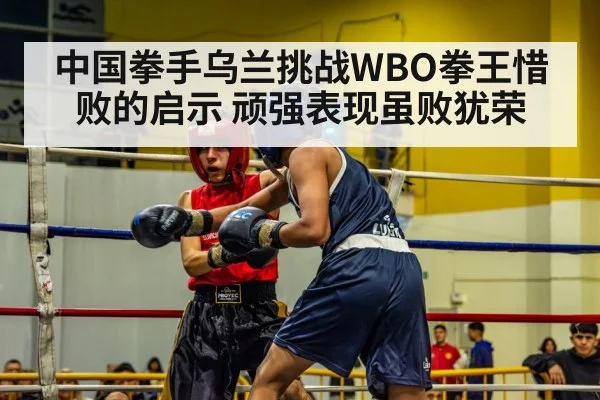 中国拳手乌兰挑战WBO拳王惜败的启示 顽强表现虽败犹荣